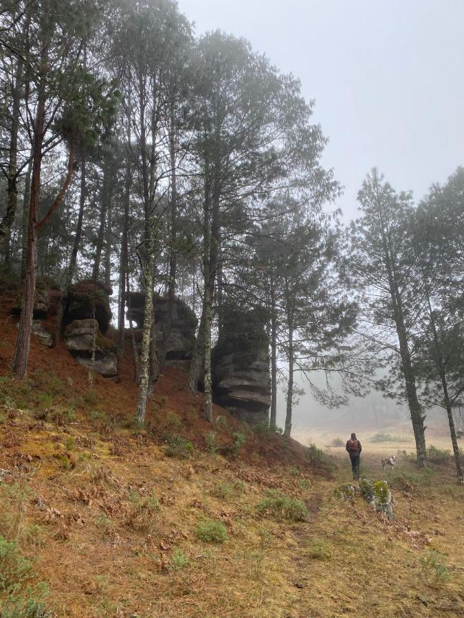 Cabanas Chalets Piedra Alta Zacatlan Camotepec Zewnętrze zdjęcie